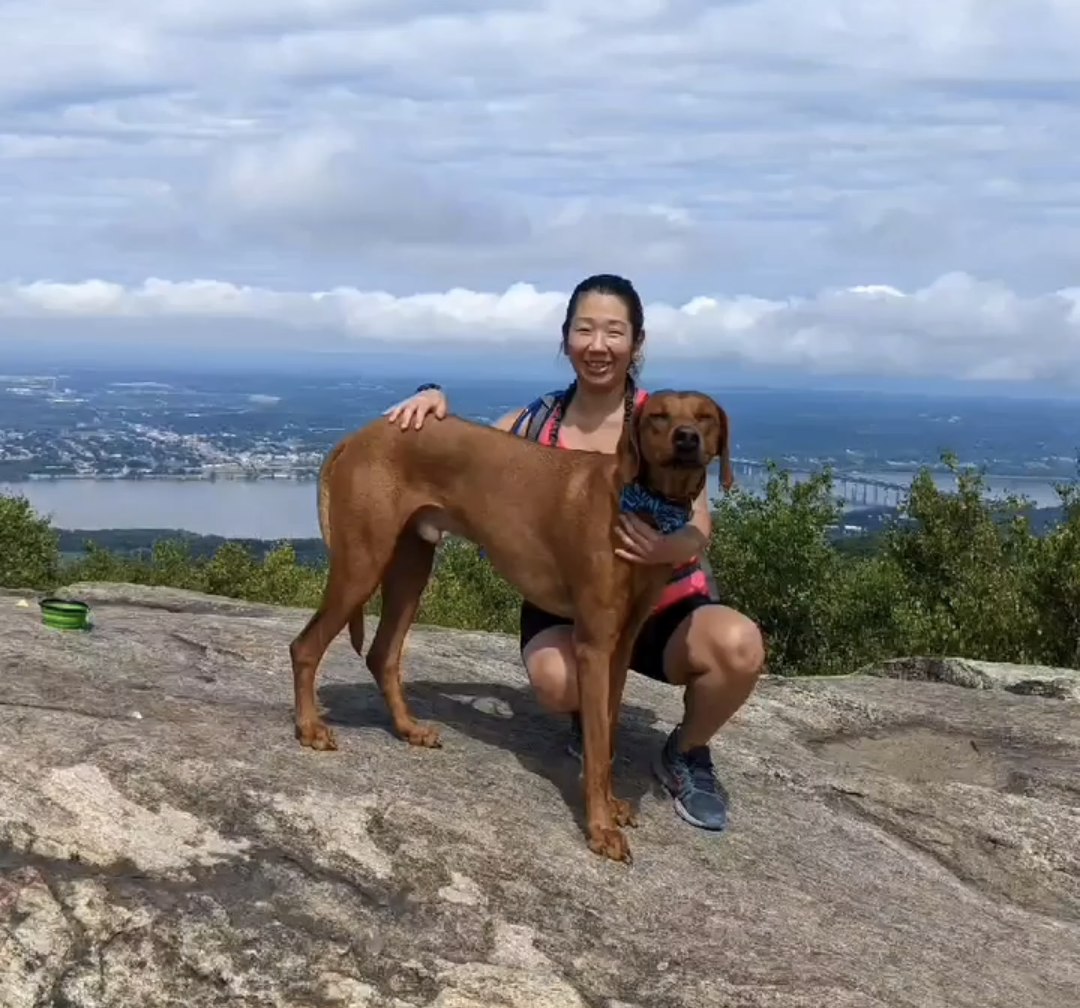 Beacon Day Trip Tips and Guide - Koa's Ruff Life