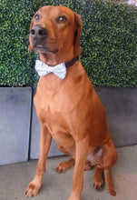 Load image into Gallery viewer, Chemistry Bow Tie - Science Collection