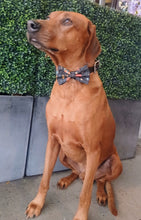 Load image into Gallery viewer, Cosmic Bow Tie