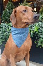 Load image into Gallery viewer, Little Mathematician Bandana - Science Collection