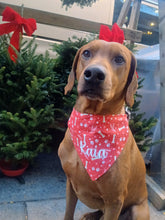 Load image into Gallery viewer, Pawliday Snow Bandana