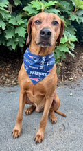 Load image into Gallery viewer, New England Patriots Bandana - Football Collection