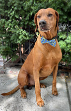 Load image into Gallery viewer, HIMYM Duck Bow Tie