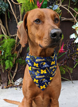 Load image into Gallery viewer, University of Michigan Bandana - College Collection
