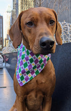 Load image into Gallery viewer, Mardi Gras Argyle Bandana