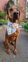 Load image into Gallery viewer, Koa's Ruff Life, Koa in a large New York City bandana