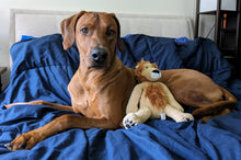 Load image into Gallery viewer, Lion Plush Toy