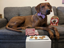 Load image into Gallery viewer, Koa's Ruff Life, valentines dog cookies
