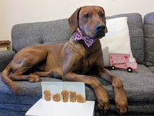 Load image into Gallery viewer, Koa's Ruff Life, valentines dog cookies