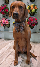 Load image into Gallery viewer, Tartan Plaid Sailor Bow