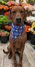 Load image into Gallery viewer, Koa's Ruff Life, Koa in a large blue "it's my gotcha day" bandana