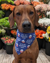 Load image into Gallery viewer, Koa's Ruff Life, Koa in a large blue "it's my gotcha day" bandana