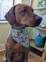 Load image into Gallery viewer, Koa's Ruff Life, Koa in a large blue I heart NY bandana.