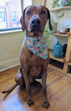 Load image into Gallery viewer, Koa's Ruff Life, Koa in a large blue I heart NY bandana.