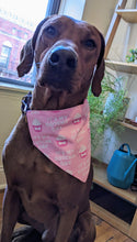 Load image into Gallery viewer, Koa's Ruff Life, Koa in a large pink "it's my gotcha day" bandana