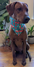 Load image into Gallery viewer, Koa's Ruff Life, Koa in a large blue fire bandana.