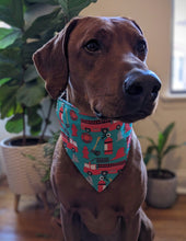 Load image into Gallery viewer, Koa's Ruff Life, Koa in a large blue fire bandana.