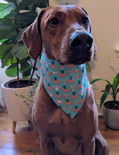 Load image into Gallery viewer, Koa's Ruff Life, Koa in a large bunnies int he garden bandana
