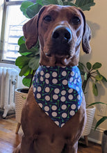 Load image into Gallery viewer, Koa's Ruff Life, Koa in a large blue golf bandana