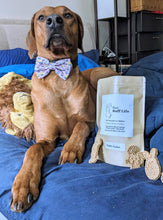Load image into Gallery viewer, Koa's Ruff Life, Koa with a bag of eater themed cookies