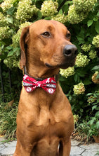 Load image into Gallery viewer, University of Alabama Crimson Tide Bow Tie - College Collection