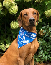 Load image into Gallery viewer, Koa's Ruff Life, Koa in a large LA Dodgers bandana