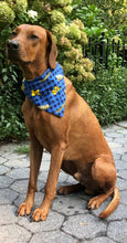 Load image into Gallery viewer, Koa's Ruff Life, Koa in a large Michigan Wolverines checkered flannel dog bandana