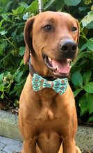 Load image into Gallery viewer, Koa's Ruff Life, Koa in a large, "mommy's little pumpkin" bow tie for dogs