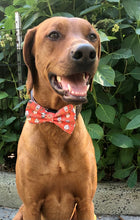 Load image into Gallery viewer, Koa's Ruff Life, fall orange coffee and donut bow tie for dogs.