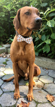 Load image into Gallery viewer, Thanksgiving Turkey Leg Day Bow Tie