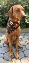 Load image into Gallery viewer, Koa's Ruff Life, Koa in a large MLB San Francisco Giants bandana for dogs