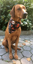 Load image into Gallery viewer, Koa's Ruff Life, Koa in a large MLB San Francisco Giants bandana for dogs