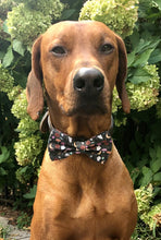 Load image into Gallery viewer, Koa's Ruff Life, Koa in a large black halloween bow tie for dogs. Featres pumpokins, jack-o-lantern, and ghost.
