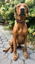 Load image into Gallery viewer, Koa's Ruff Life, Koa in a large Halloween Candy Corn bow tie for dogs personalized with your pup's name