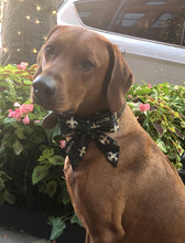 Load image into Gallery viewer, Koa's Ruff Life, Koa in a large New Orleans Saints sailor bow