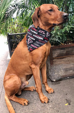 Load image into Gallery viewer, Koa's Ruff Life, Koa in a large NFL Atlanta Falcons bandana for dogs