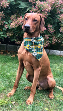 Load image into Gallery viewer, Koa's Ruff Life, Koa in a large NFL Green Bay Packers dog bandana personalized with your pup's name