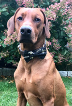 Load image into Gallery viewer, Koa's Ruff Life, Koa in a large New Orleans Saints bow tie