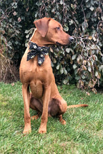 Load image into Gallery viewer, Koa's Ruff Life, Koa in a large New Orleans Saints sailor bow