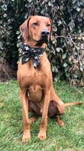 Load image into Gallery viewer, Koa's Ruff Life, Koa in a large New Orleans Saints sailor bow
