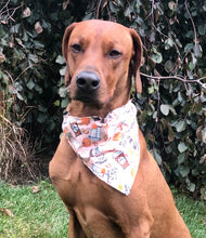 Load image into Gallery viewer, Koa's Ruff Life, Koa in a large pumpkin spice bandana for dogs. perfect for the fall