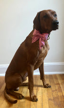 Load image into Gallery viewer, Koa's Ruff Life, Koa in the pink checker personalized sailor bow, large.
