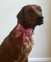 Load image into Gallery viewer, Koa's Ruff Life, Koa in the pink checker personalized sailor bow, large.