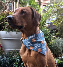 Load image into Gallery viewer, Koa's Ruff Life, Koa in a large little turkey over the collar dog bandana perfect for Thanksgiving