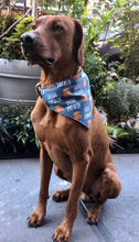 Load image into Gallery viewer, Koa's Ruff Life, Koa in a large little turkey over the collar dog bandana perfect for Thanksgiving