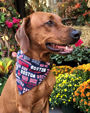 Load image into Gallery viewer, Koa's Ruff Life, Koa in a large MLB Boston Red Sox over the collar bandana for dogs