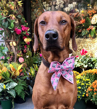 Load image into Gallery viewer, Koa's Ruff Life, Koa in a large pink birthday girl cake sailor bow