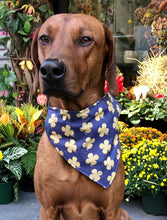 Load image into Gallery viewer, Koa's Ruff Life, Koa in a large Notre Dame fighting Irish bandana for dogs