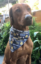 Load image into Gallery viewer, Koa's Ruff Life, Notre Dame Fighting Irish football over the collar bandana for dogs