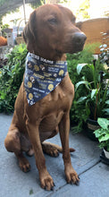 Load image into Gallery viewer, Koa's Ruff Life, Notre Dame Fighting Irish football over the collar bandana for dogs